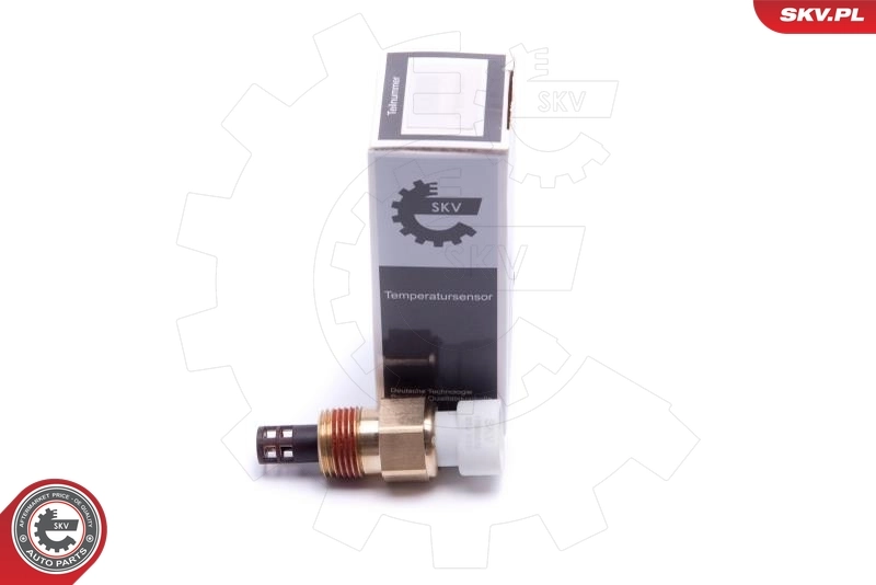 Sensor, intake air temperature